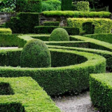 Živý plot: vlastnosti tvorby, výběr rostlin a aplikace v krajinném ...